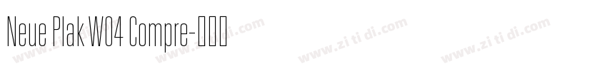 Neue Plak W04 Compre字体转换